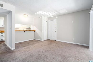 415 Skyview Dr unit J, Birmingham, AL 35209 - photo 4