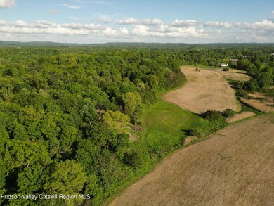 Lot 1 County Route 6, Clermont, NY 12526 - photo 3