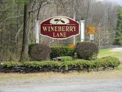 12 Wineberry Ln, Ballston Spa, NY 12020 - photo 2