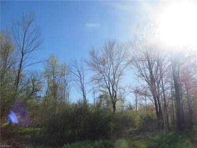 VL Calhoun & State Line Rd, Conneaut, OH 44030 - photo 2