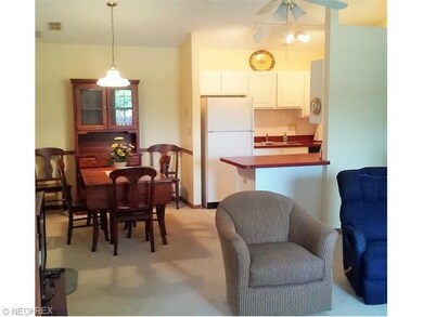 The dining area, just next to the kitchen, with va