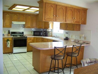 909 Katrin Dr, Alamo, TX 78516 - photo 6