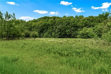 N4015 420th St, Menomonie, WI 54751 - photo 3