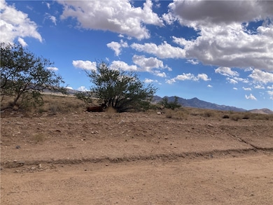 20 Peacock Ranch, Kingman, AZ 86401 - photo 2