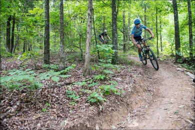 Near scenic Back40 Trails