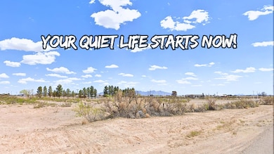 Deming unit NM USA, Deming, NM 88030 - photo 2