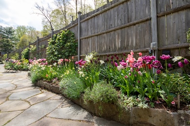 256 Mill Rd, New Canaan, CT 06840 - photo 3