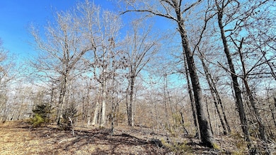 2361 Overlook Trace, Chewey, OK 74464 - photo 7