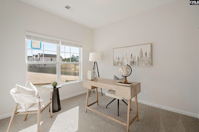 258 Brando Way, Columbia, SC 29223 - photo 4