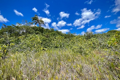 12-4786 Kaimu-Chain of Craters Rd, Pahoa, HI 96778 - photo 3