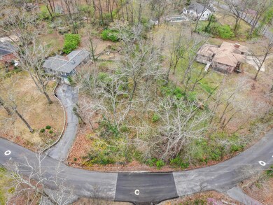 2-DJI_20250320165011_0730_D