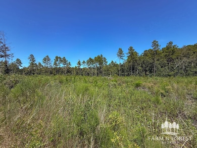 XX1 Decon Rd E, Bonifay, FL 32425 - photo 3