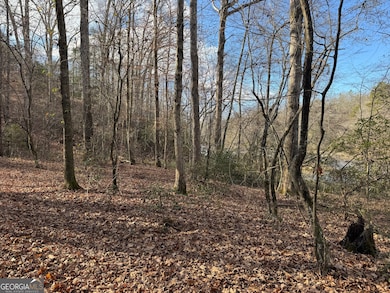 1190 James Adams Rd, Danielsville, GA 30633 - photo 7