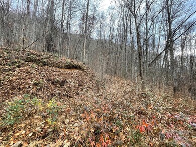 805 Sparkling Falls Rd, Whittier, NC 28789 - photo 6