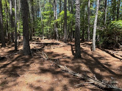 0 Edgerton Rd, Mill Spring, NC 28756 - photo 4