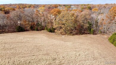 Tract 1 Polston Ln, Hickory Grove Township, MO 63357 - photo 4