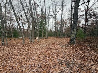 Parcel 2 Cleveland Dr, Bitely, MI 49309 - photo 5