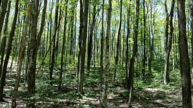 0 Wilderness Trail unit 314703, Vanderbilt, MI 49795 - photo 4