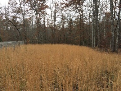 0 Wallace Way unit 1101334, Grimsley, TN 38565 - photo 7