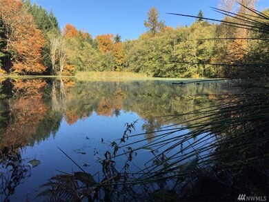 23310 148th Avenue Ct E, Orting, WA 98360 - photo 2