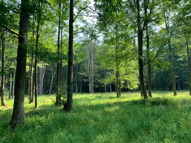 00 Elk Rd, Heath Township, PA 15860 - photo 3