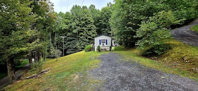 2984 Runa Rd, Mount Nebo, WV 26679 - photo 5