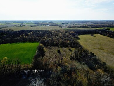 DJI_0569