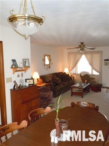 155 Half Moon St, Lincoln, IL 62656 - photo 3