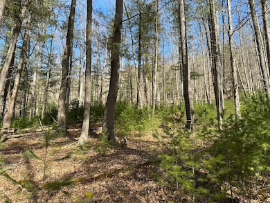 0 Winslow Hill Rd unit 21440465, Benezette, PA 16056 - photo 4