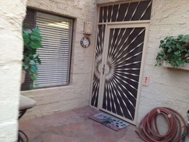 photo 1 (5)