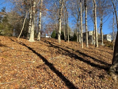 Lot 3 Aspen Way, Moneta, VA 24121 - photo 6