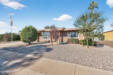 11034 W Crestbrook Dr, Sun City, AZ 85351 - photo 2