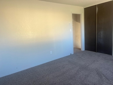 3207 Mesa Ave, Clifton, CO 81520 - photo 7