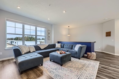 13689 Marsh View Trail, Rogers, MN 55374 - photo 4