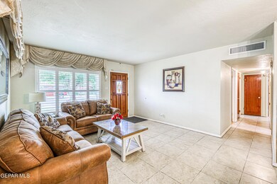 9033 Mount Delano Dr, El Paso, TX 79904 - photo 6