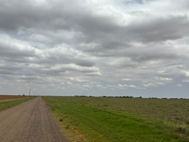 0 Cr 280 unit 23809612, Brownfield, TX 79316 - photo 3