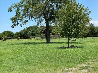 Large Tree along with serval other trees