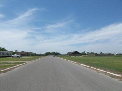 3702 Rodeo Dr unit 18, Mercedes, TX 78570 - photo 3