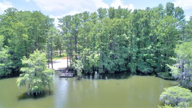 0 Mill Branch Rd, Warwick, GA 31796 - photo 7