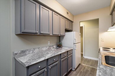 Ruxton Kitchen 2