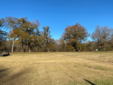 159 Rivers Run, Waynesboro, GA 30830 - photo 6