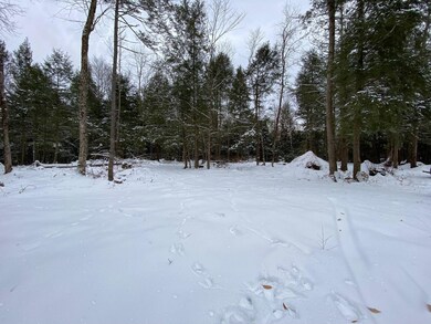 146 Kays Way unit 1-5, Cambridge, VT 05444 - photo 3