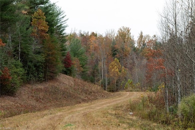 TBD W Us Highway 421, Ferguson, NC 28624 - photo 7