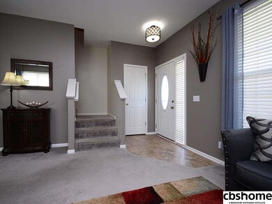 2412 S Mineral Dr, Papillion, NE 68046 - photo 4