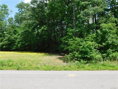 12600 E Quaker Rd, Disputanta, VA 23842 - photo 3