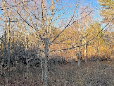 TBD River View Ln, Hiwassee, VA 24347 - photo 7