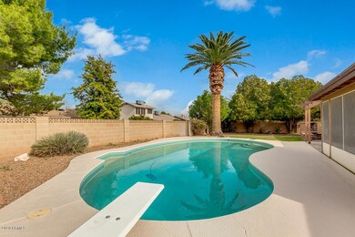 Diving Board