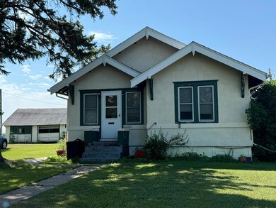 309 W 4th Ave S, Ada, MN 56510 - photo 4