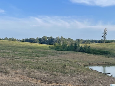 3679 Chelsea Rd, Columbiana, AL 35051 - photo 4