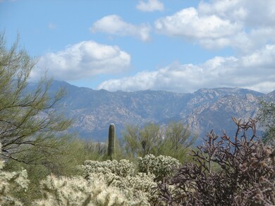 Push Ridge / Chollas